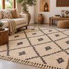 Moraccan Rugs